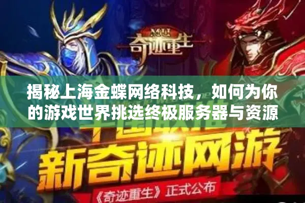 揭秘上海金蝶网络科技，如何为你的游戏世界挑选终极服务器与资源方案？