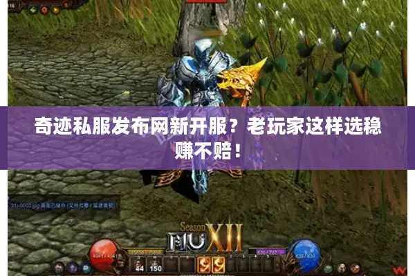奇迹私服发布网新开服？老玩家这样选稳赚不赔！