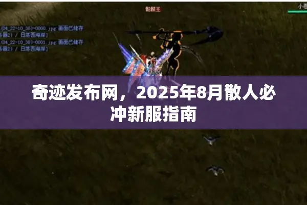 奇迹发布网，2025年8月散人必冲新服指南