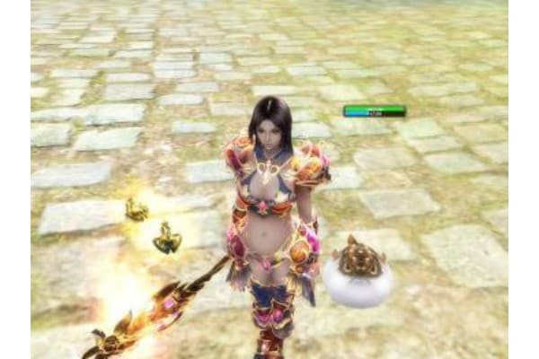 学奇迹私服架设难吗?技术门槛与实战突破 学奇迹私服架设难吗?技术门槛与实战突破