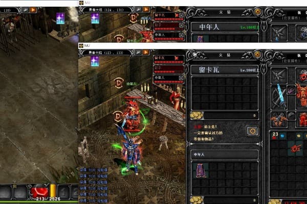 奇迹SF加点皮实战攻略,2025职业属性分配全解析 奇迹SF加点皮实战攻略,2025职业属性分配全解析